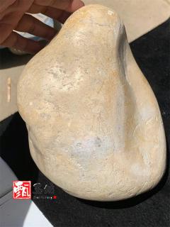 甄玉坊和田玉石包玉籽料 全明料满肉 石包玉原石和田玉籽料